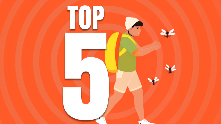 Top 5 Reasons You Need Insect Repellent Sunscreen for Your Next Trek